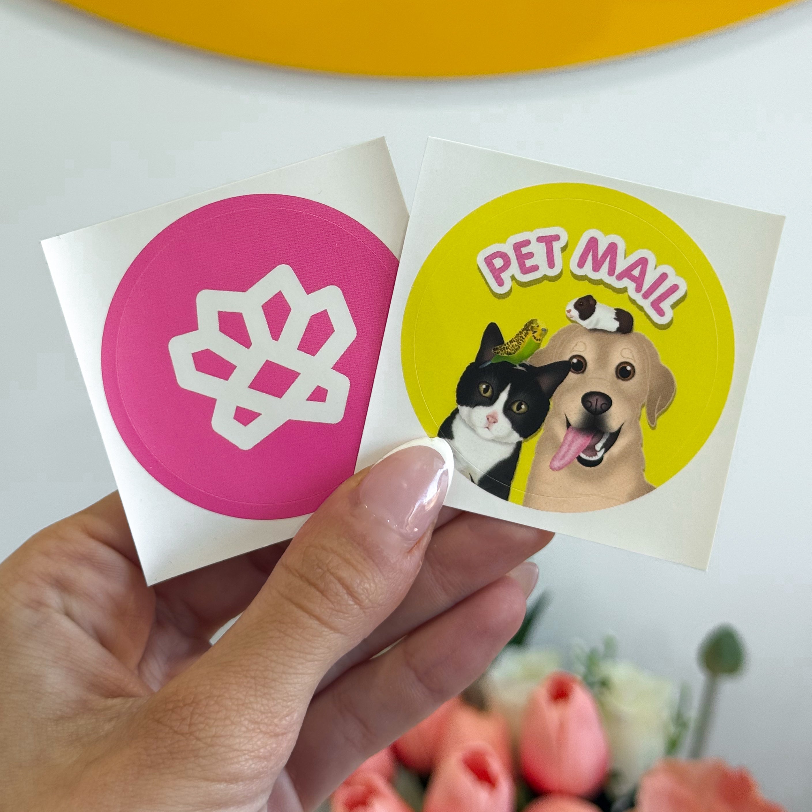 ✨ It’s All in the Details: Our Zoopeez Sticker Experience