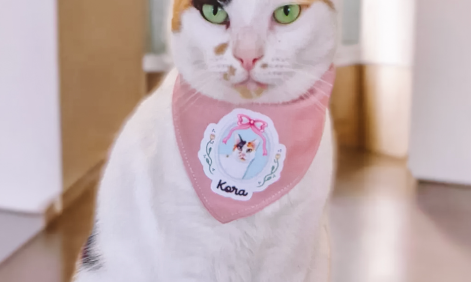 CAT WEAR - Zoopeez