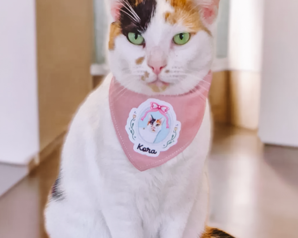 CAT WEAR - Zoopeez
