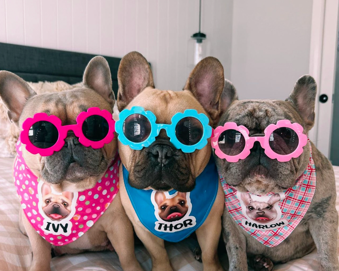 DOG WEAR - Zoopeez