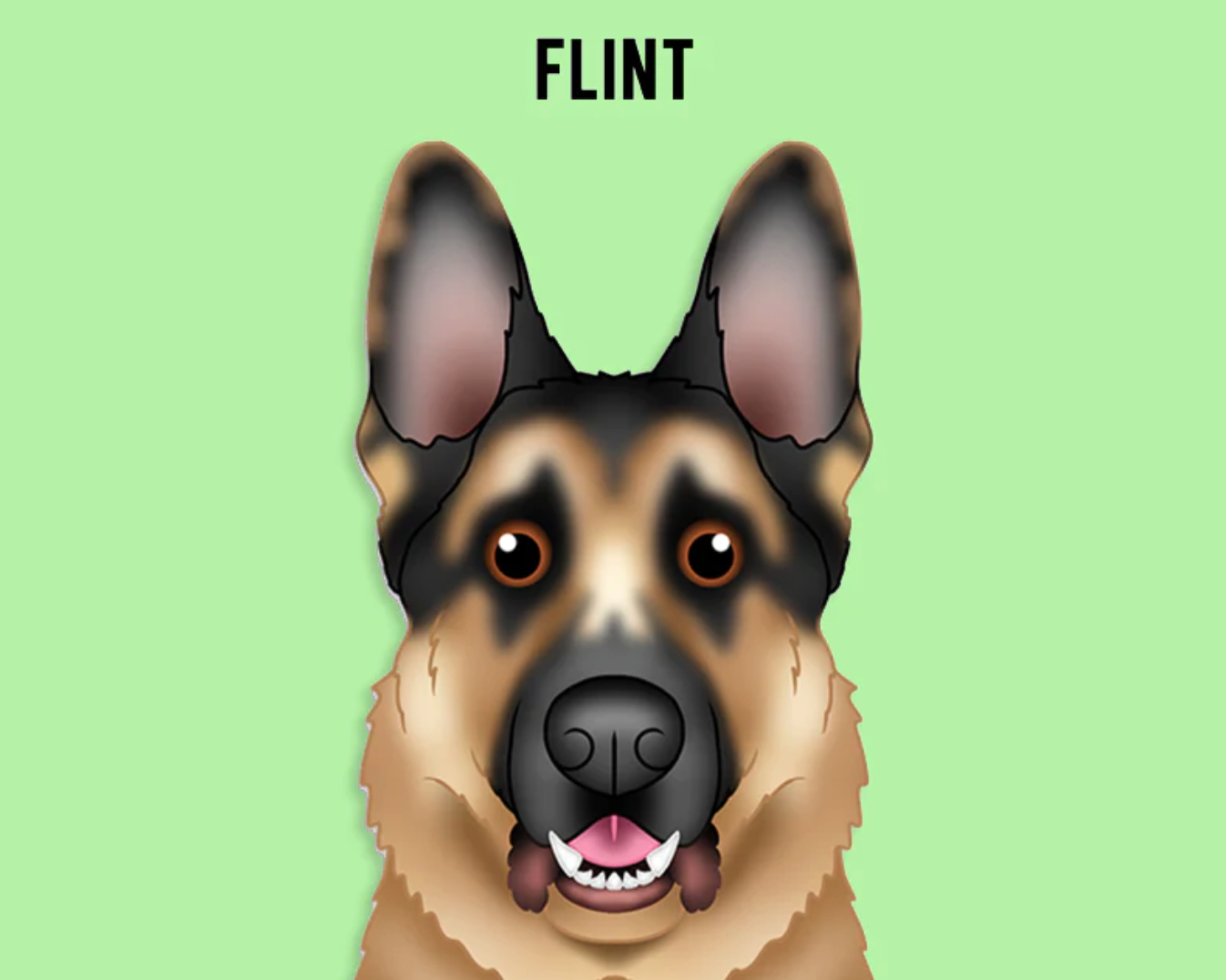 Pet Portrait Australia