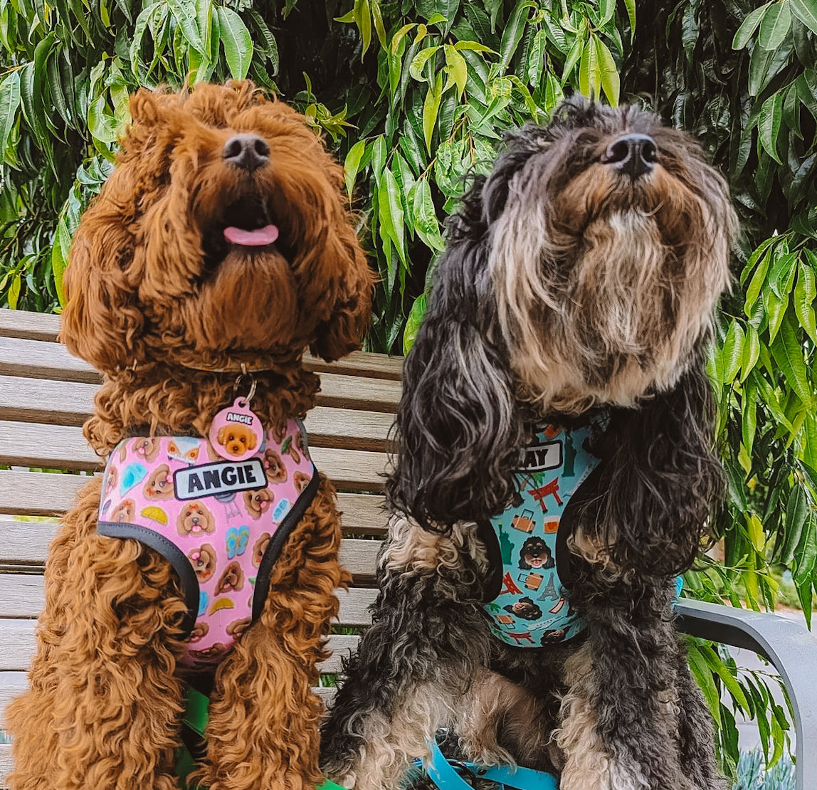 custom dog harness