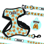 A collection of pet accessories including a collar, leash, harness, and tag, all featuring a portrait of a dog with the name Ziggi.