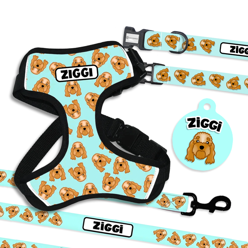 A collection of pet accessories including a collar, leash, harness, and tag, all featuring a portrait of a dog with the name Ziggi.