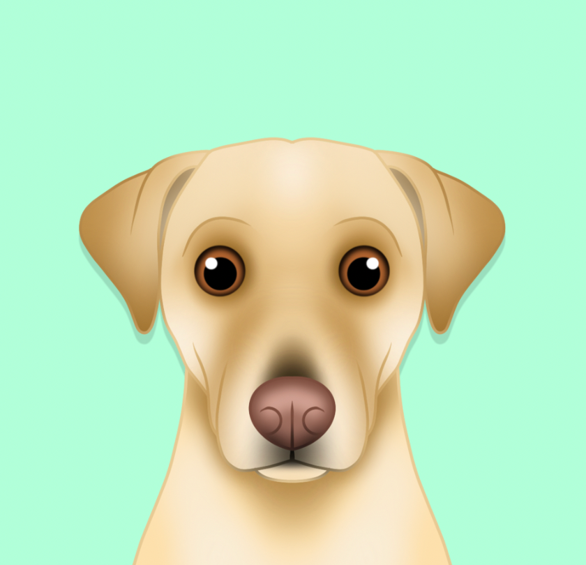 cartoon_labrador.png
