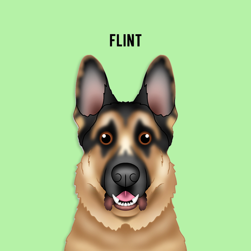 Digital Pet Portrait