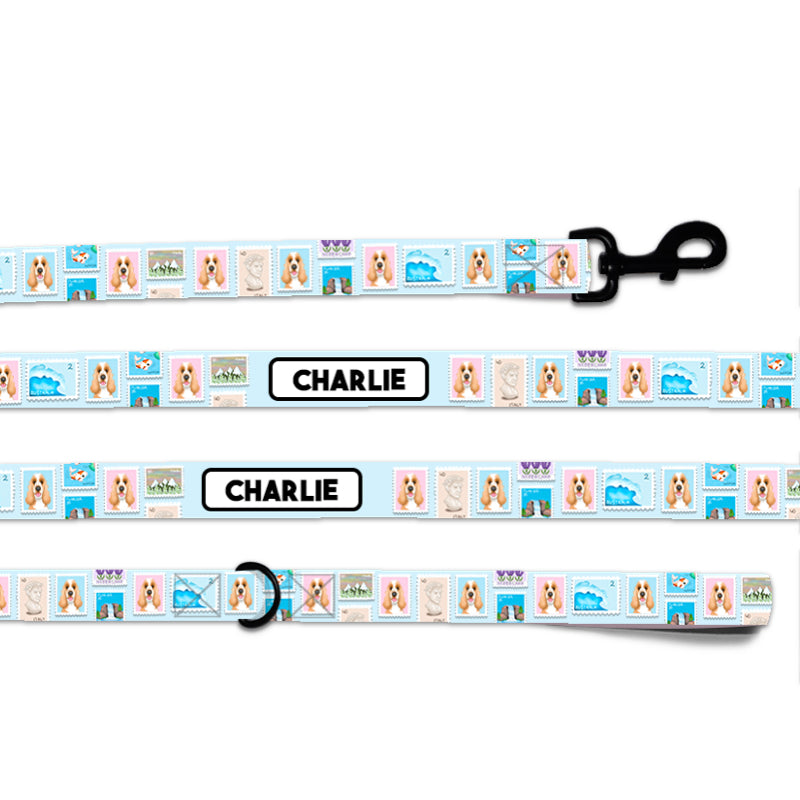 Traveller Dog Portrait Lead