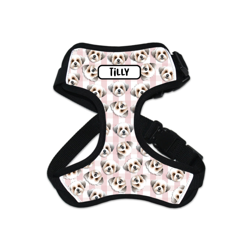 Dog Harness - Portrait