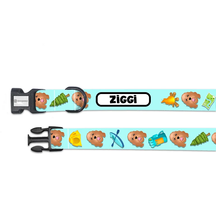 Personalised Dog Collar