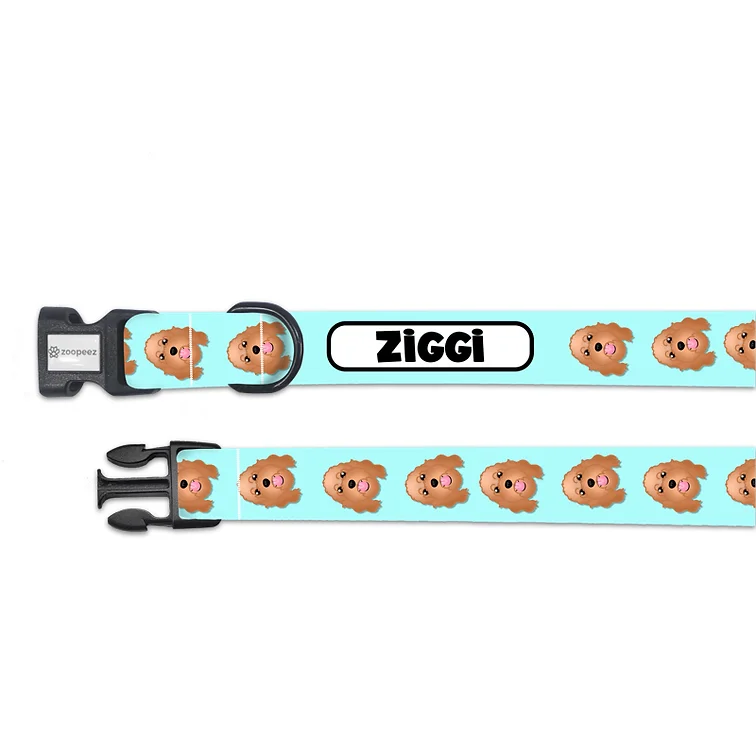 Personalised Dog Collar
