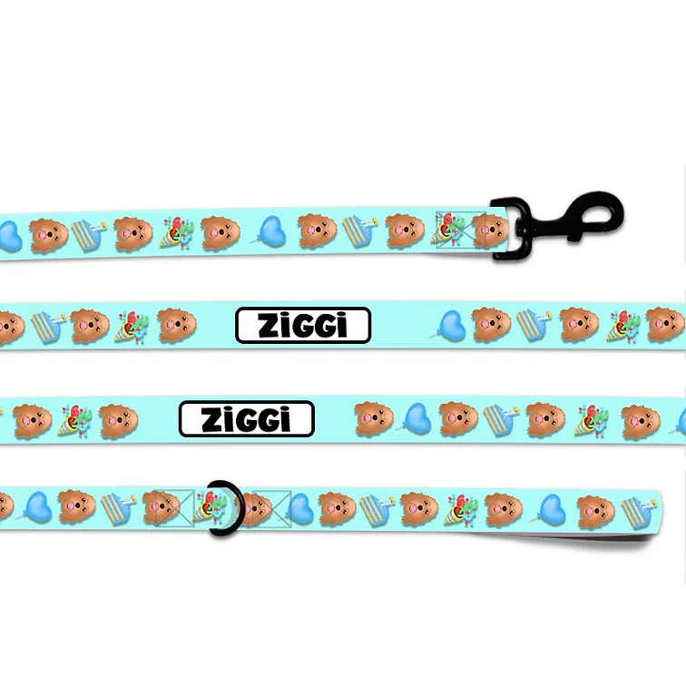 Personalised Dog Lead