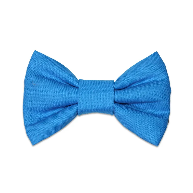 Blue Bow Tie