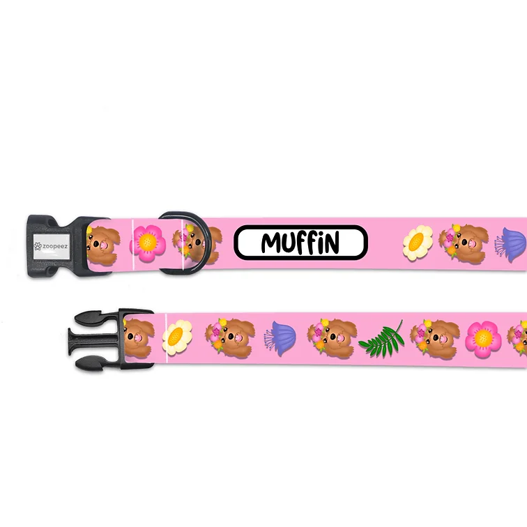 Customised Dog Collar 