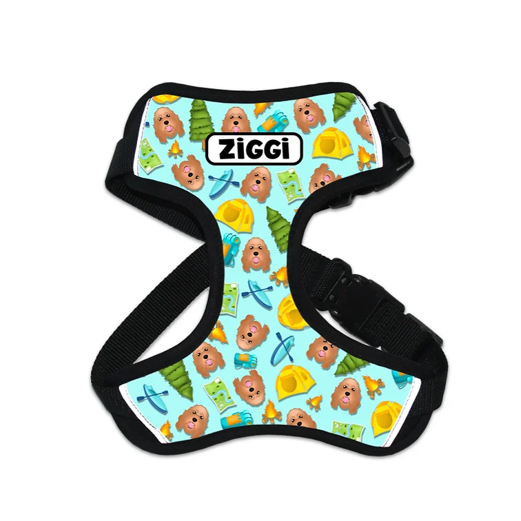Personalised clearance harness dog