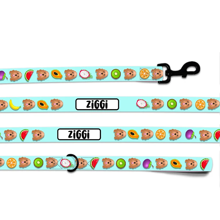 Customised Dog Leash