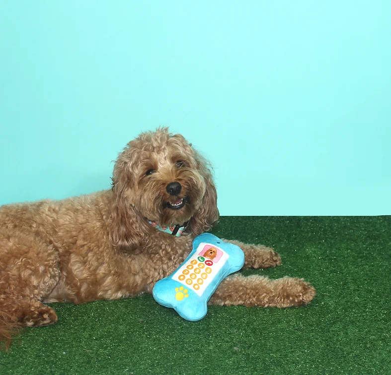 Smartbone Dog Toy