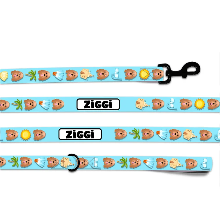 Customised Dog Lead