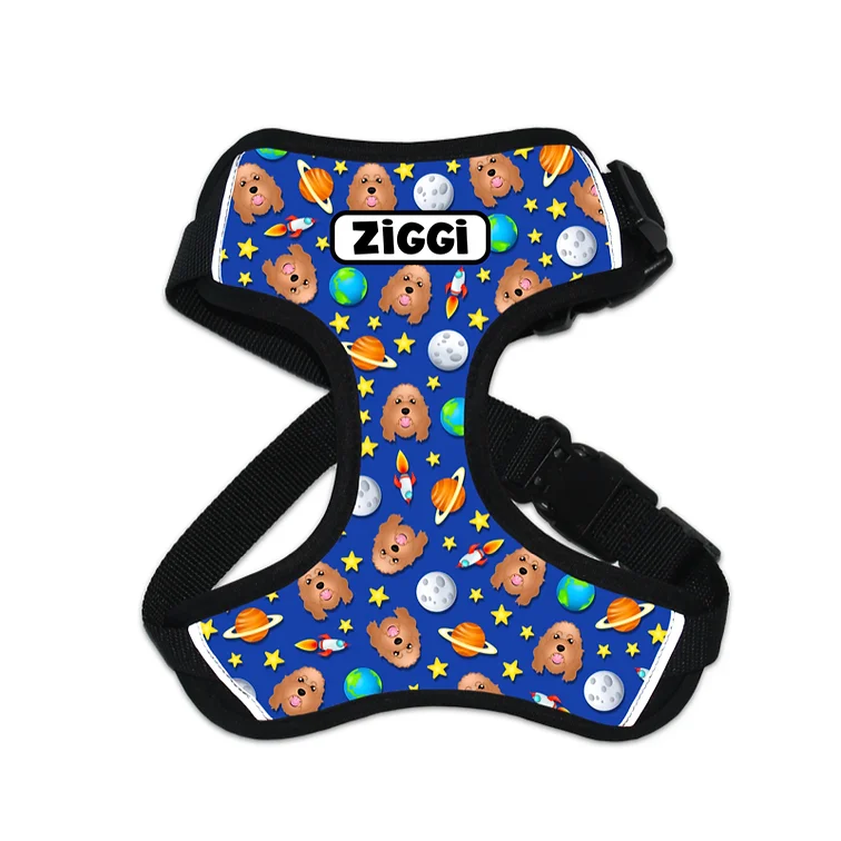 Personalised Dog Harness