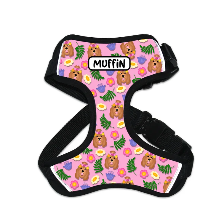 Personalised Dog Harness