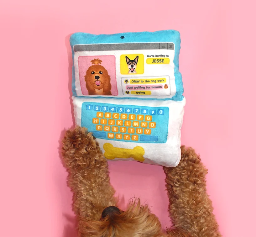 Dog Toy - Compawter