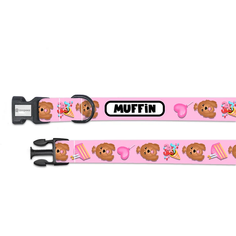 Personalised Dog Collar