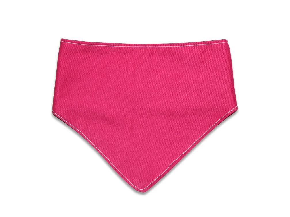 Bright Pink Bandana