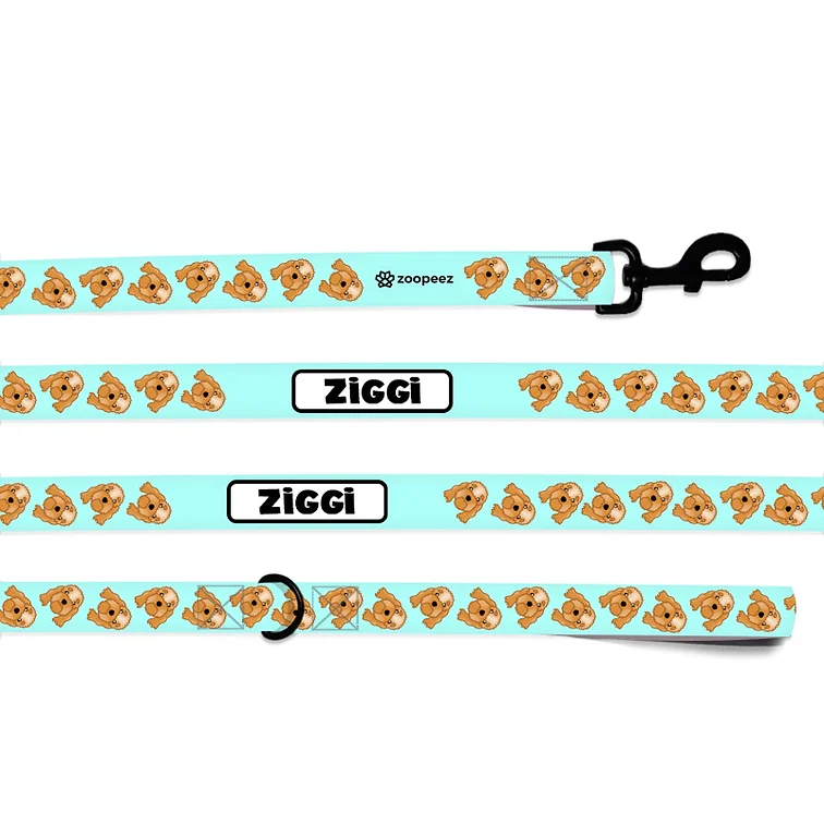 Personalised Dog Lead