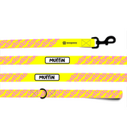 Customised Dog Lead and Cat Lead