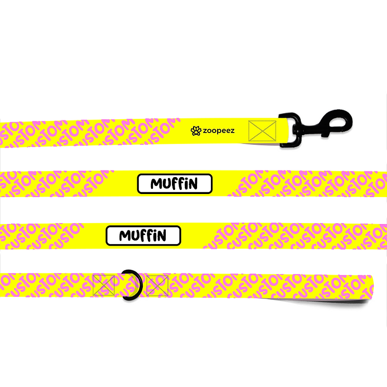 Customised Dog Lead and Cat Lead