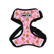 Customised Birthday Dog Harness