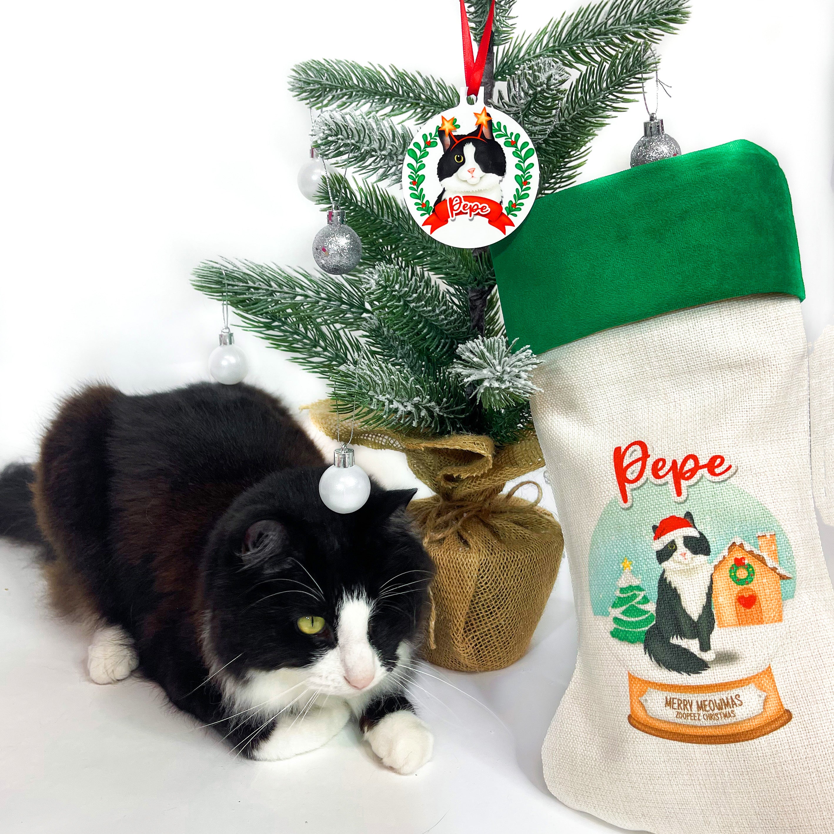 Celebrate Christmas with Custom Pet Portraits from Zoopeez! - Zoopeez