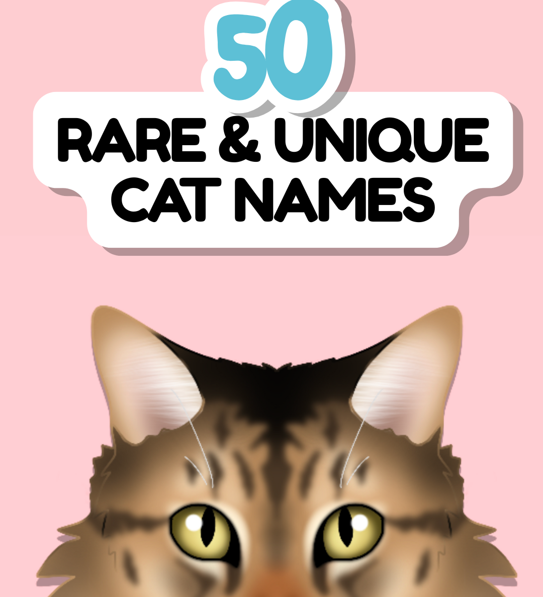 Cat Name Inspiration Guide: 50 Rare & Unique Names