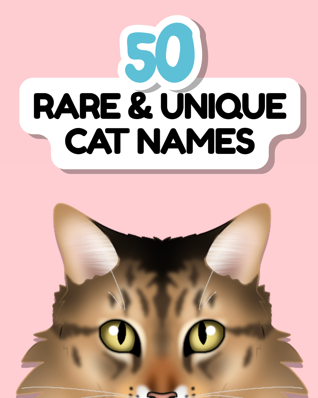 Cat Name Inspiration Guide: 50 Rare & Unique Names