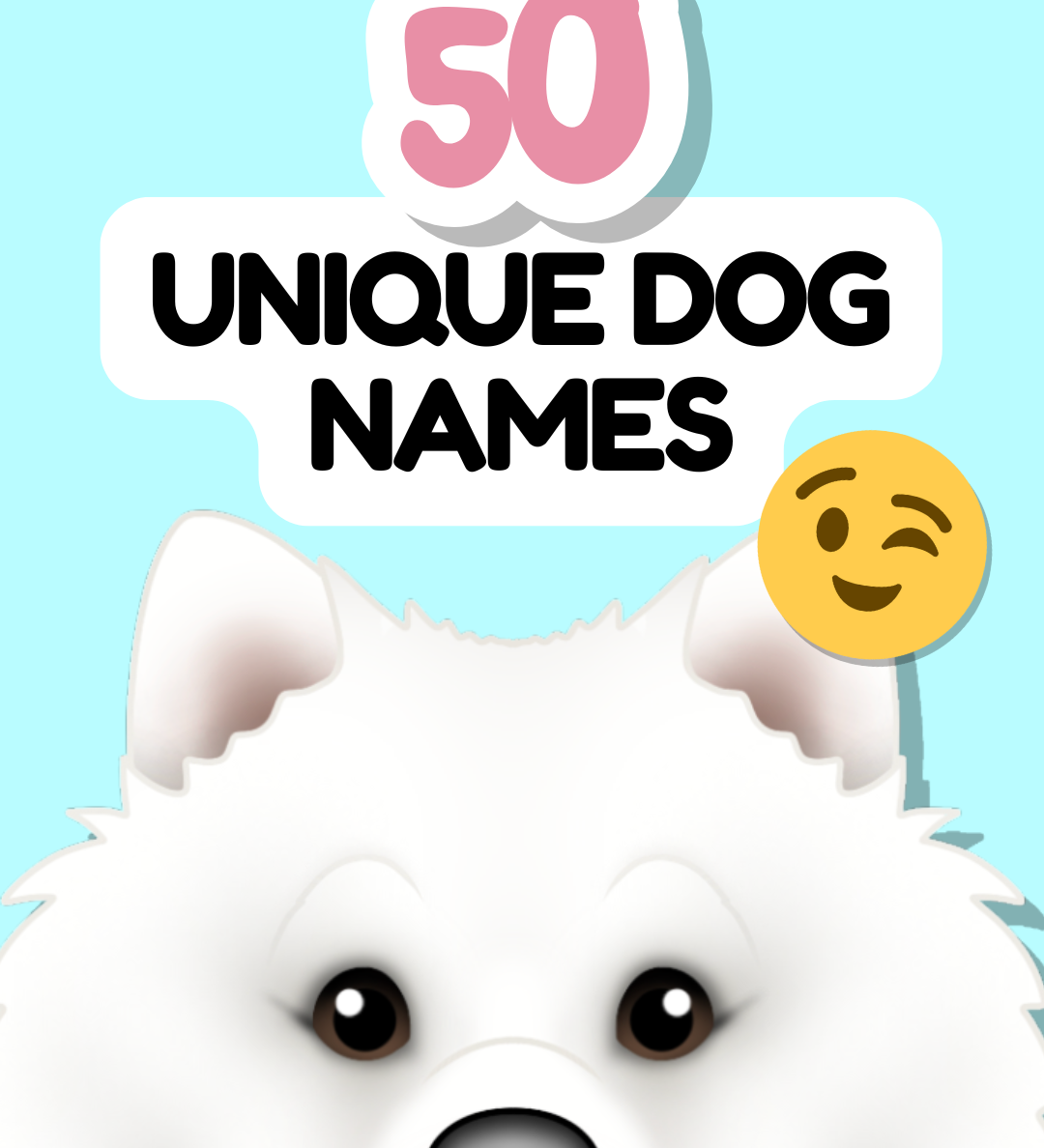 Dog Name Inspiration: 50 Unusual & Unique Dog Names