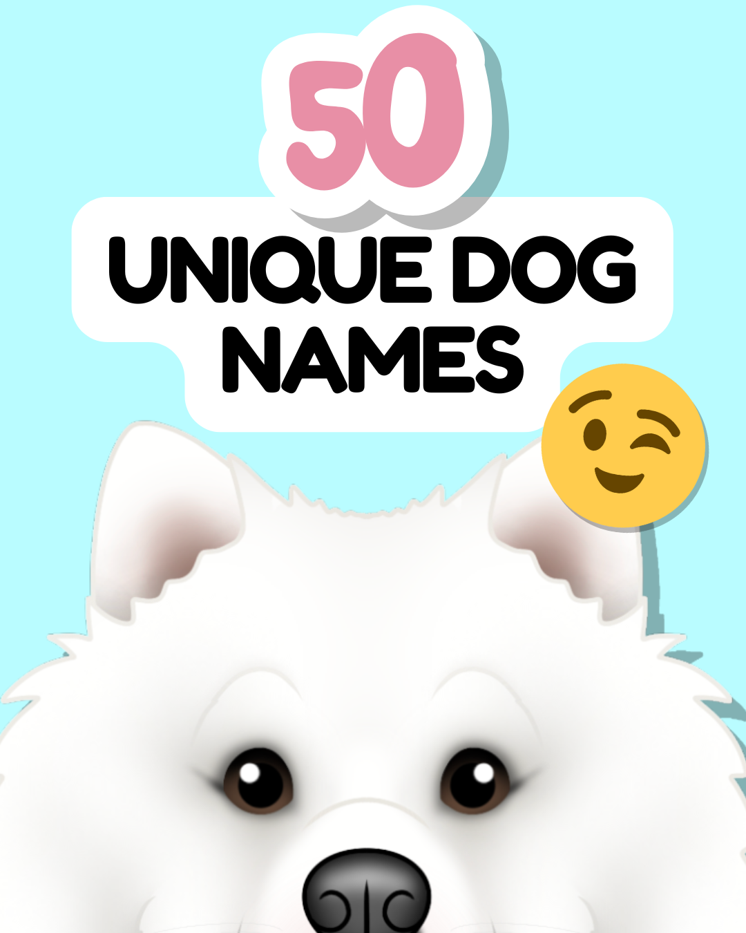Dog Name Inspiration: 50 Unusual & Unique Dog Names