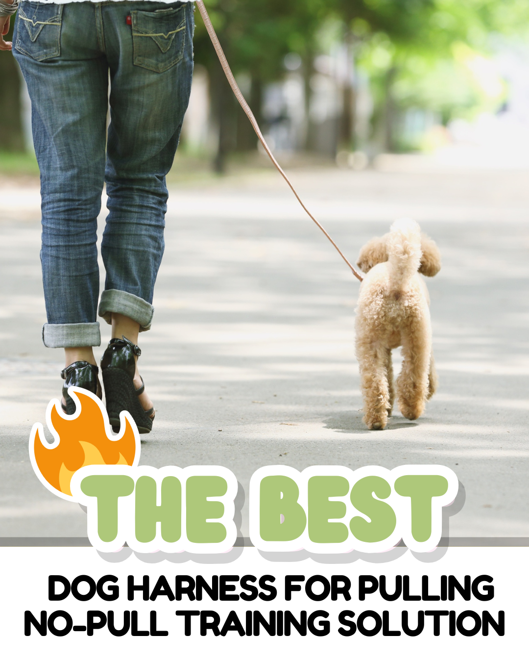 Best Dog Harness for Pulling | No-Pull Training Solution