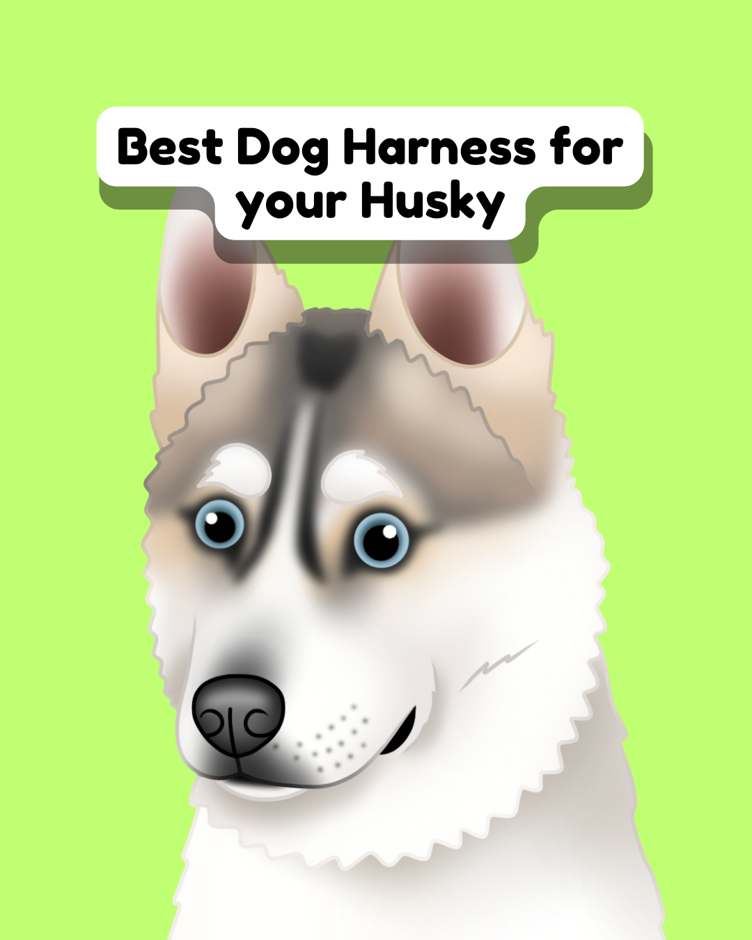 Best Dog Harness for Husky