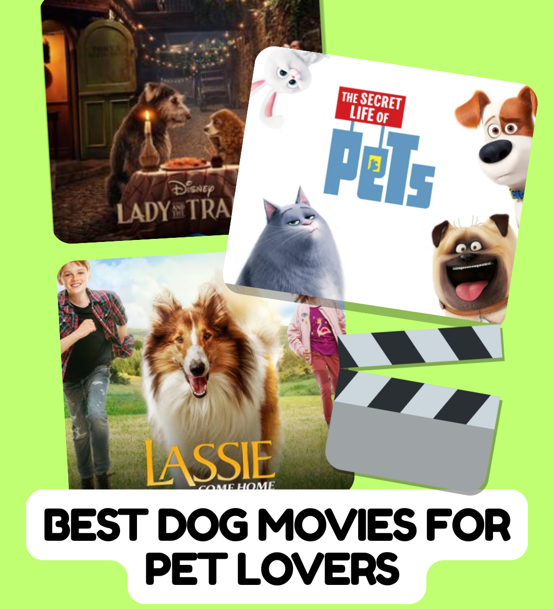 Best Dog Movies for Pet Lovers