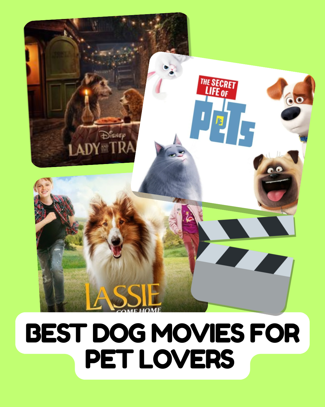 Best Dog Movies for Pet Lovers