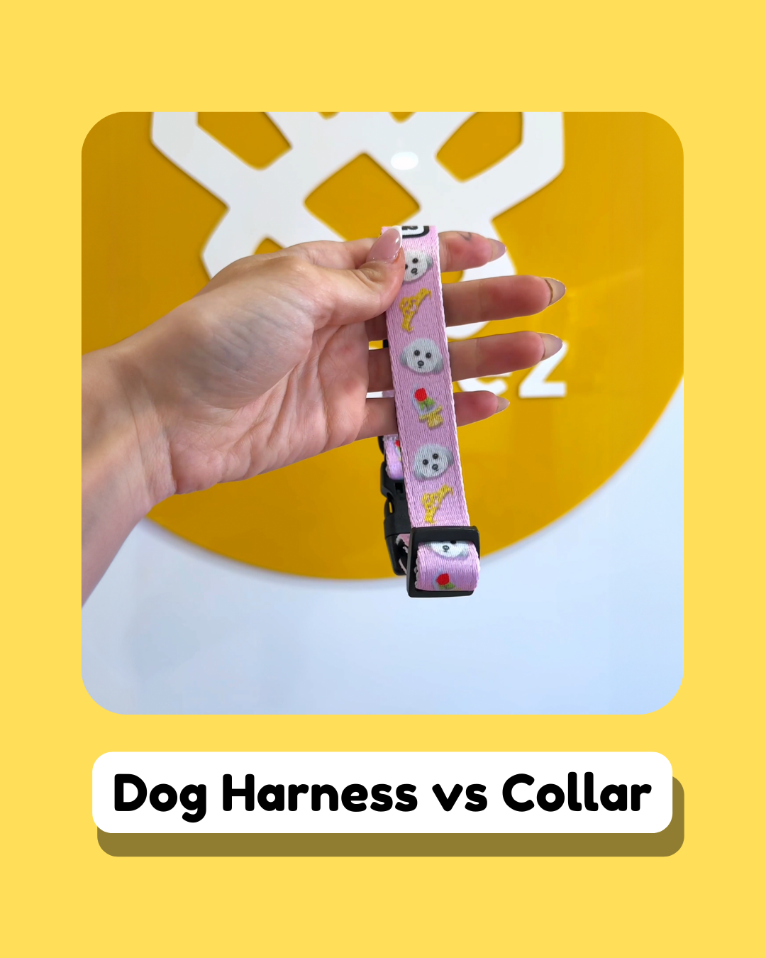 Dog Harness vs Collar: Which Is Better?