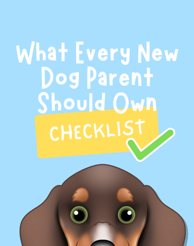 new puppy checklist