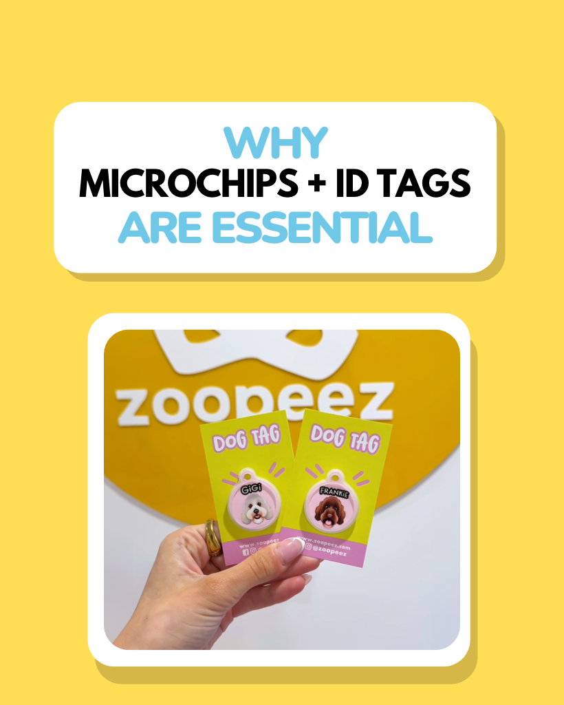 Pet ID Tags Australia