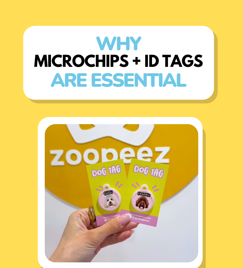 Pet ID Tags Australia