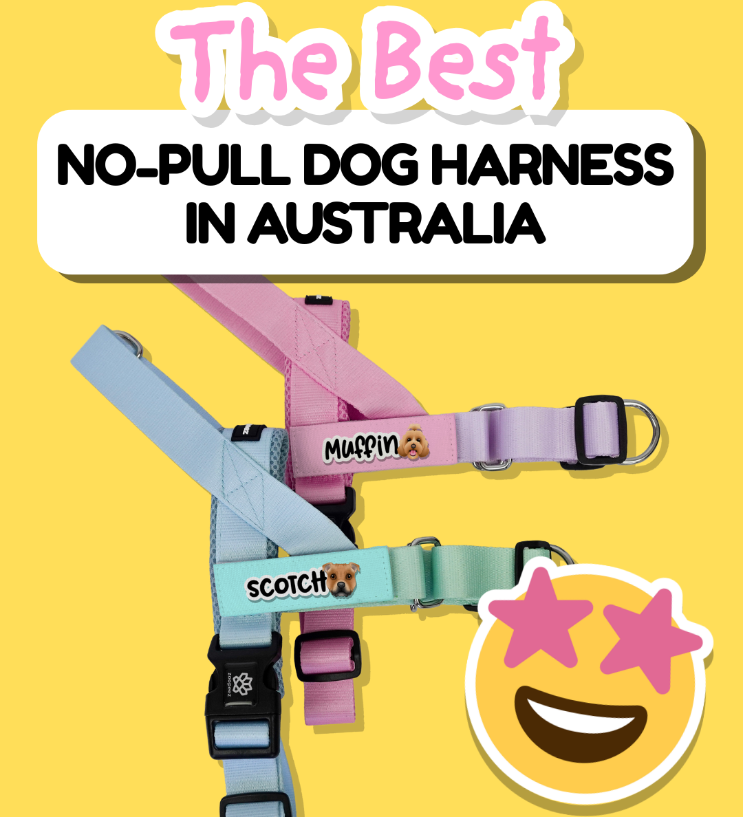 The Best No-Pull Dog Harness in Australia