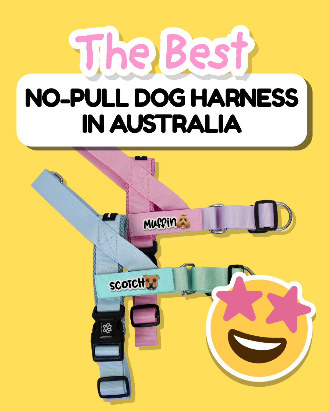 The Best No-Pull Dog Harness in Australia