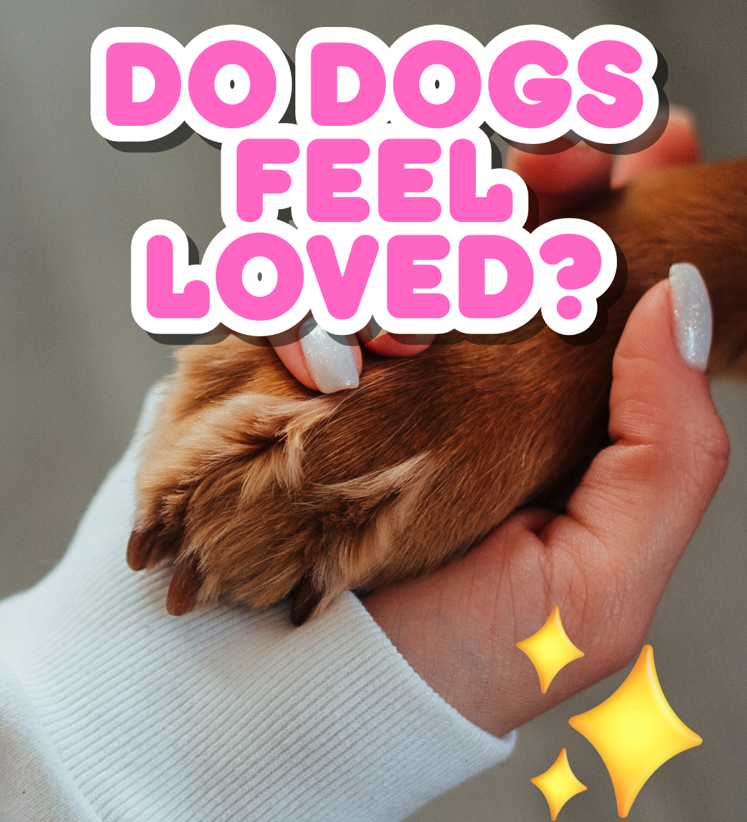 Do Dogs Feel Loved?