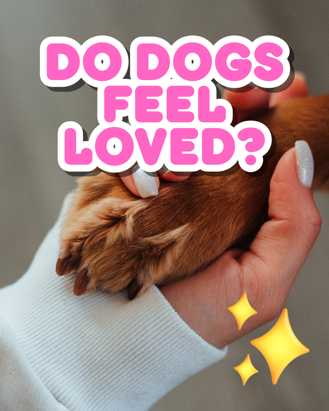 Do Dogs Feel Loved?