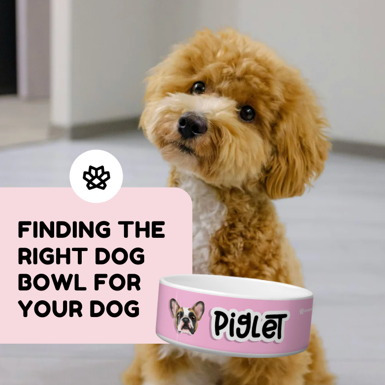 Finding the Right Dog Bowl for Your Dog