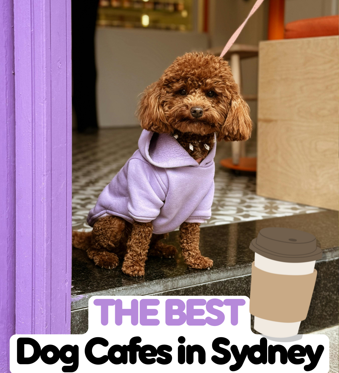 The Best Dog Cafes in Sydney