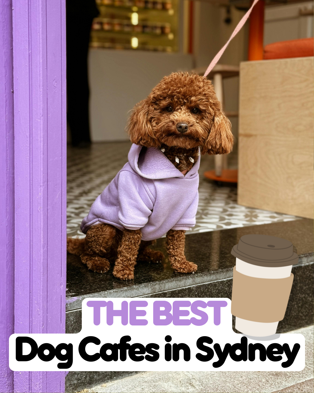 The Best Dog Cafes in Sydney